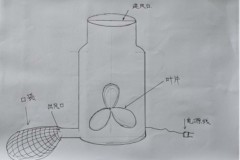 捕捉蝗虫治理蝗灾