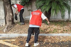 世界地球日：守护绿色家园 东阳平安产险在行动