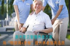 泰木谷思贝打造IoT业务生态圈