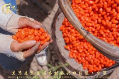 美思康宸集团乡村振兴项目组宁夏站启动仪式今日举行