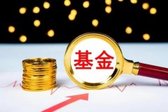 基金投资的探索与挑战：收益与风险并存
