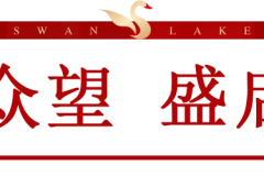 开盘劲销552套,硬实力燃沸深圳!